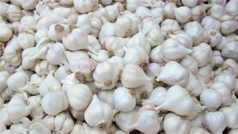 দেশী রসুন