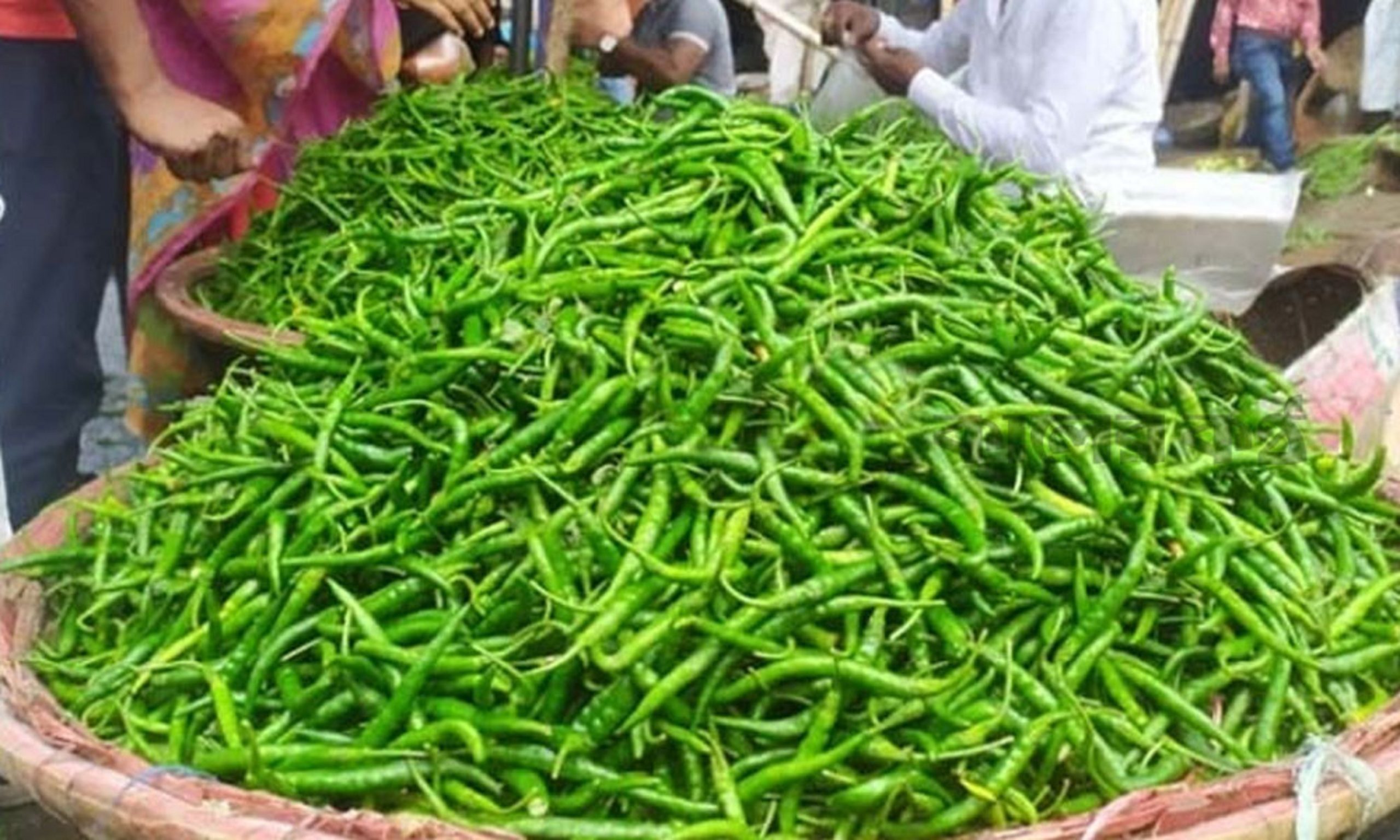 কাঁচা মরিচ